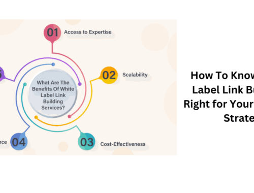 How To Know if White Label Link Building Is Right for Your Marketing Strategy