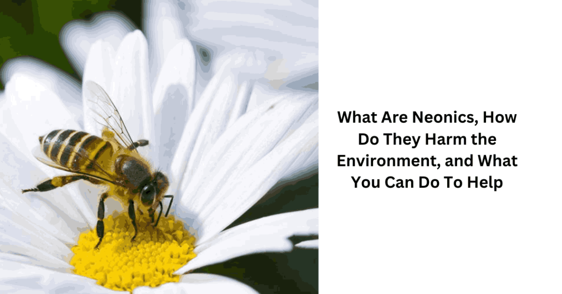 What Are Neonics