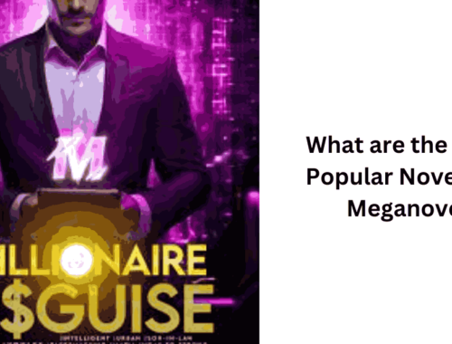 What are the Most Popular Novels on Meganovel